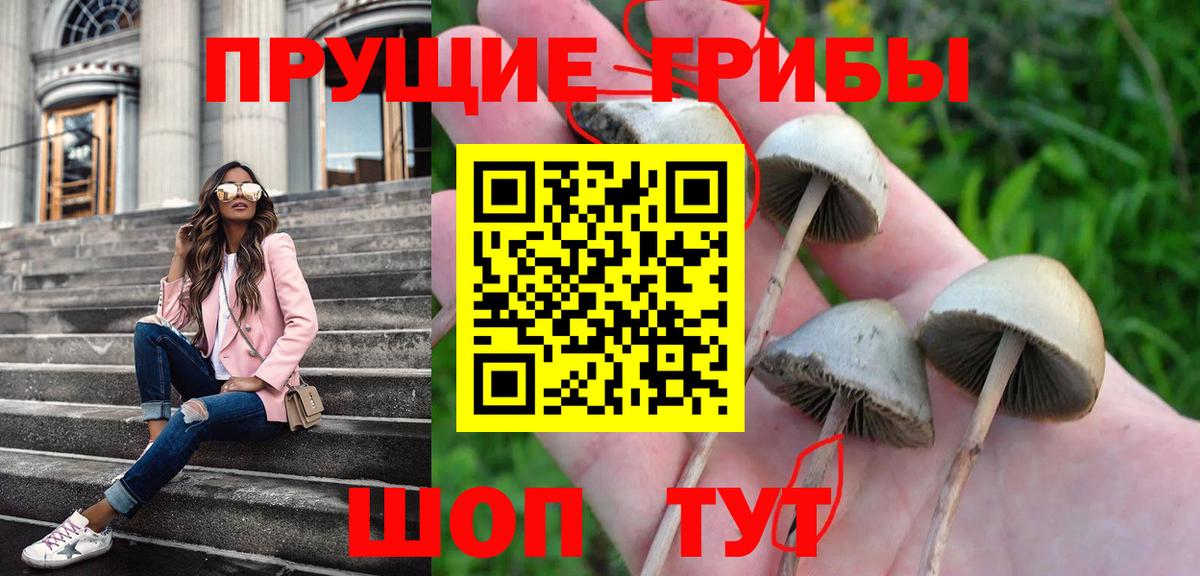 Псилоцибиновые грибы ЛСД  Псилоцибиновые грибы Magic Shrooms  Вход с VPN  Борзя 